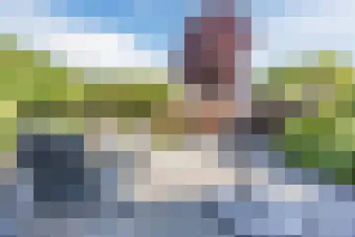 Steilrand 16 Gemert thumbnail 39