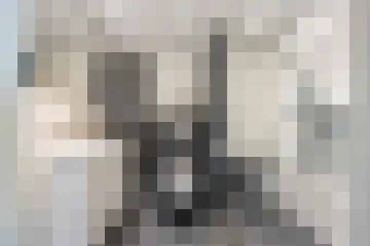 Steilrand 16 Gemert thumbnail 4