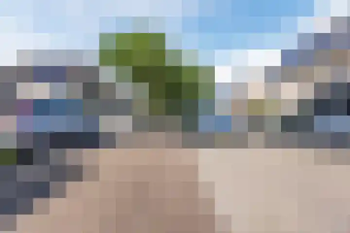 Steilrand 16 Gemert thumbnail 42