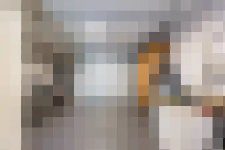 Steilrand 16 Gemert thumbnail 5