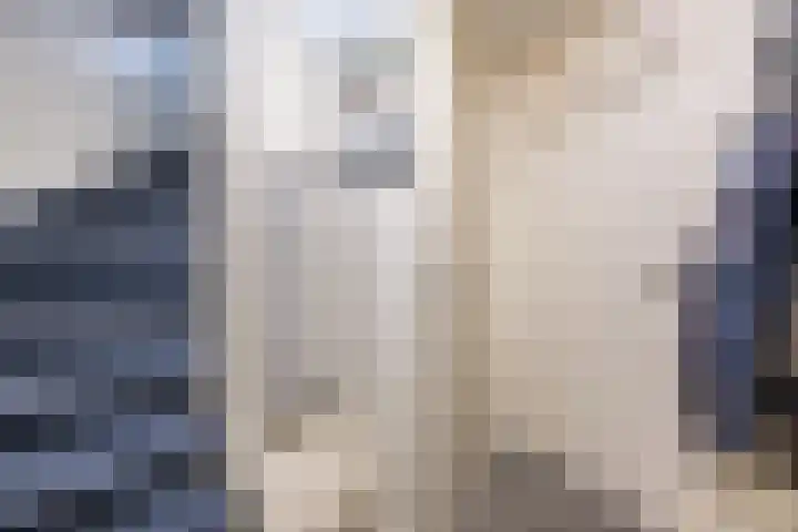 Steilrand 16 Gemert thumbnail 7