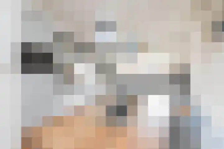 Steilsteven 17 Papendrecht thumbnail 13