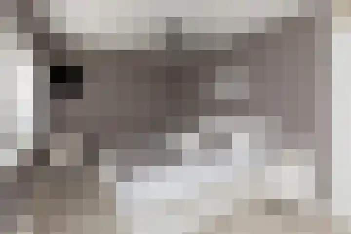Steilsteven 17 Papendrecht thumbnail 16