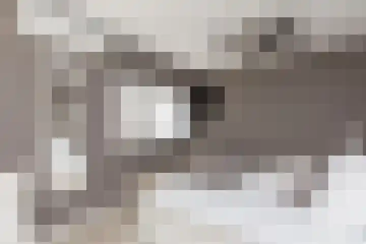 Steilsteven 17 Papendrecht thumbnail 17