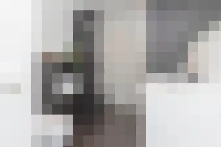 Steilsteven 17 Papendrecht thumbnail 20