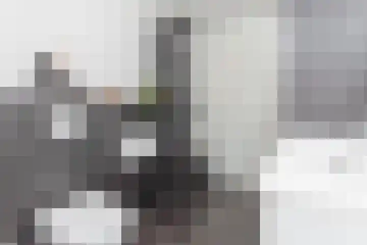 Steilsteven 17 Papendrecht thumbnail 21