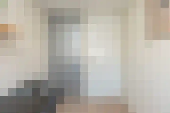 Steilsteven 17 Papendrecht thumbnail 25