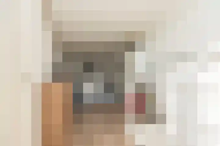Steilsteven 17 Papendrecht thumbnail 30