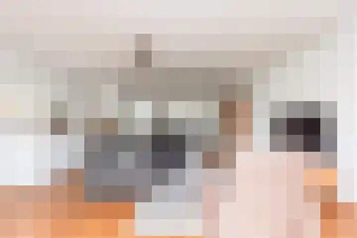 Steilsteven 17 Papendrecht thumbnail 9