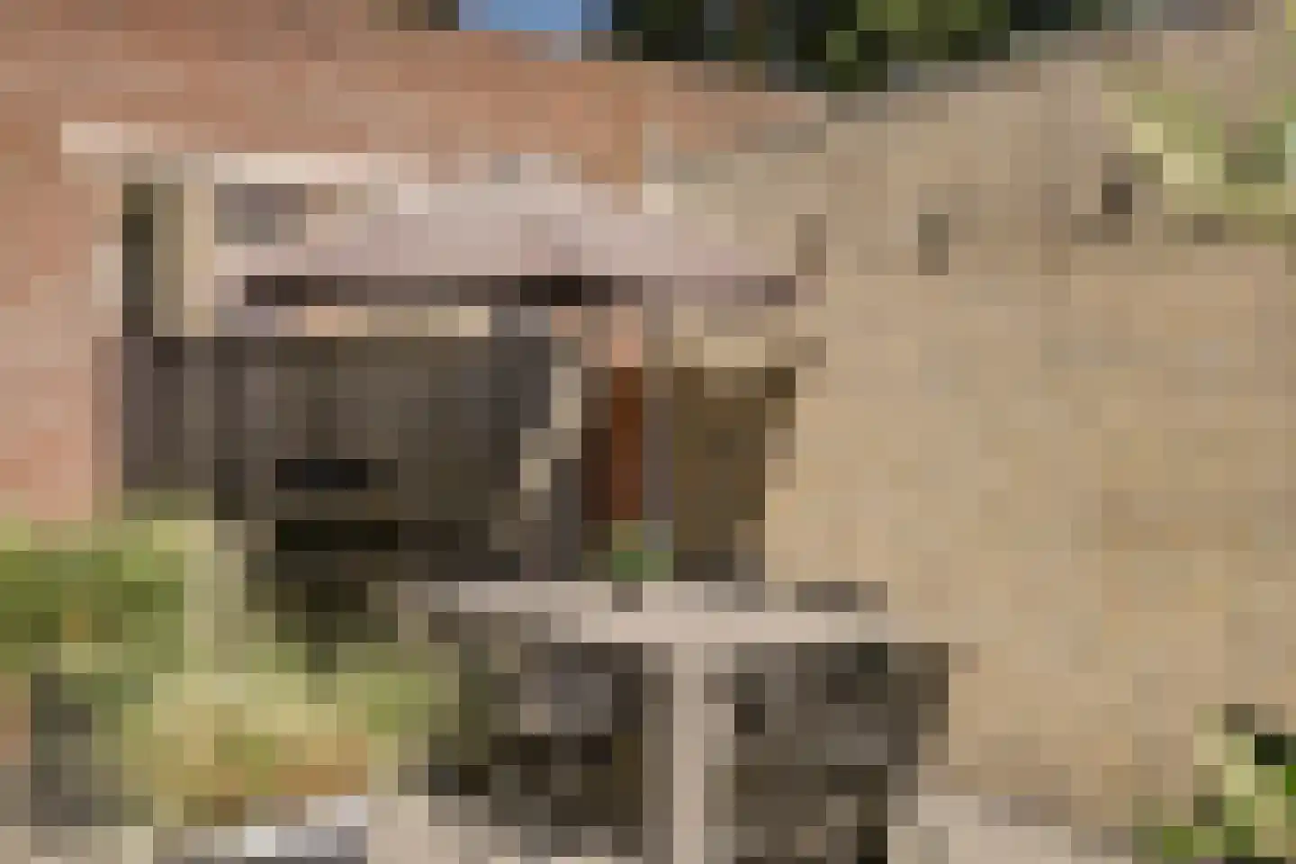 Steilsteven 60 Papendrecht thumbnail 13