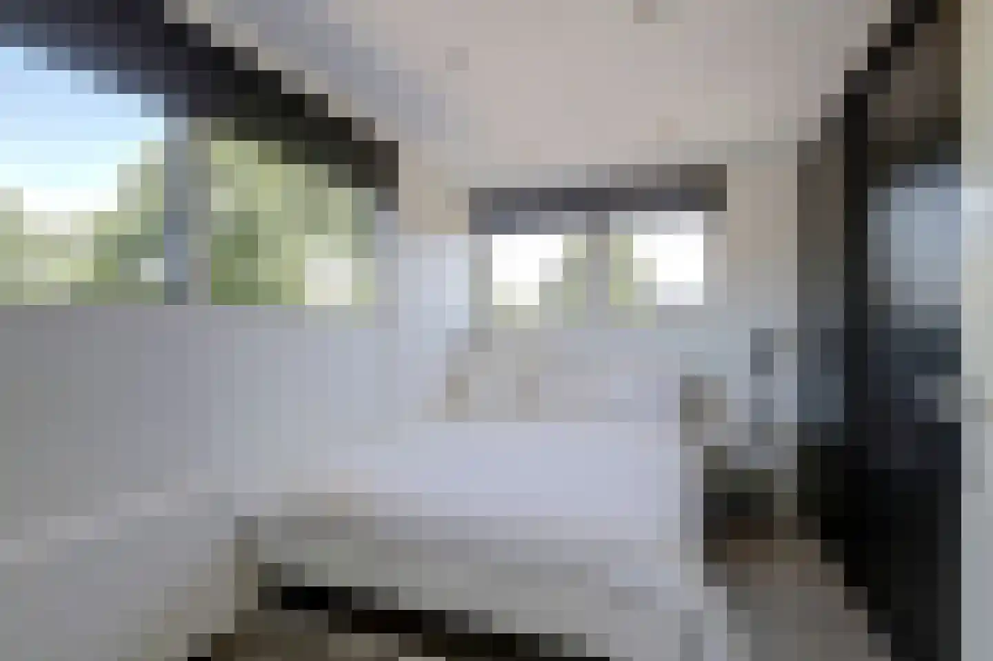Steilsteven 60 Papendrecht thumbnail 44