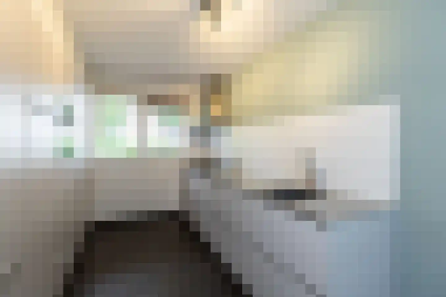 Steilsteven 64 Papendrecht thumbnail 12