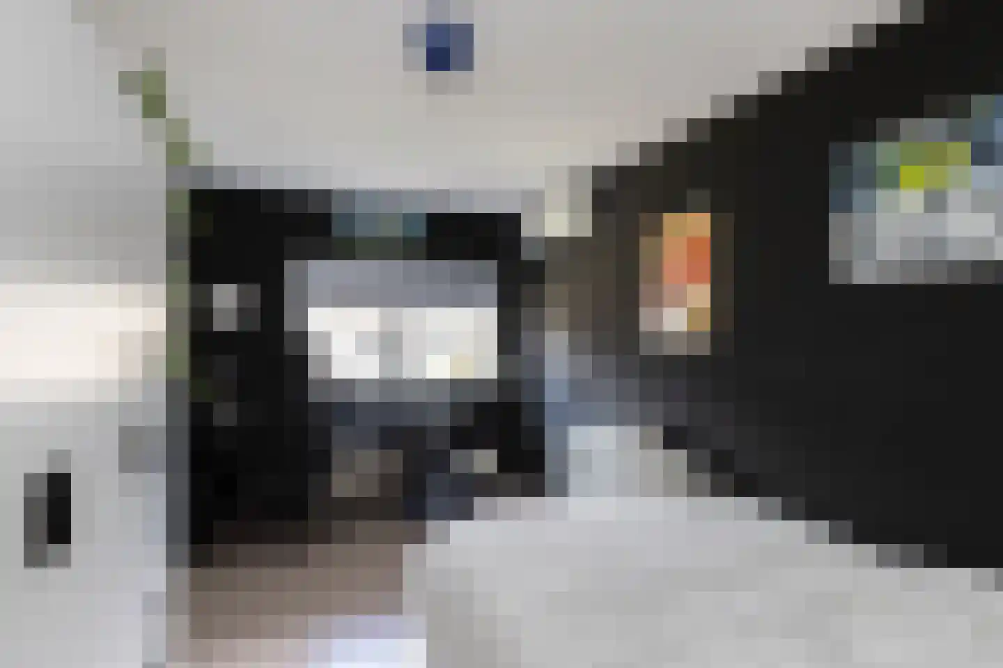 Steilsteven 64 Papendrecht thumbnail 18