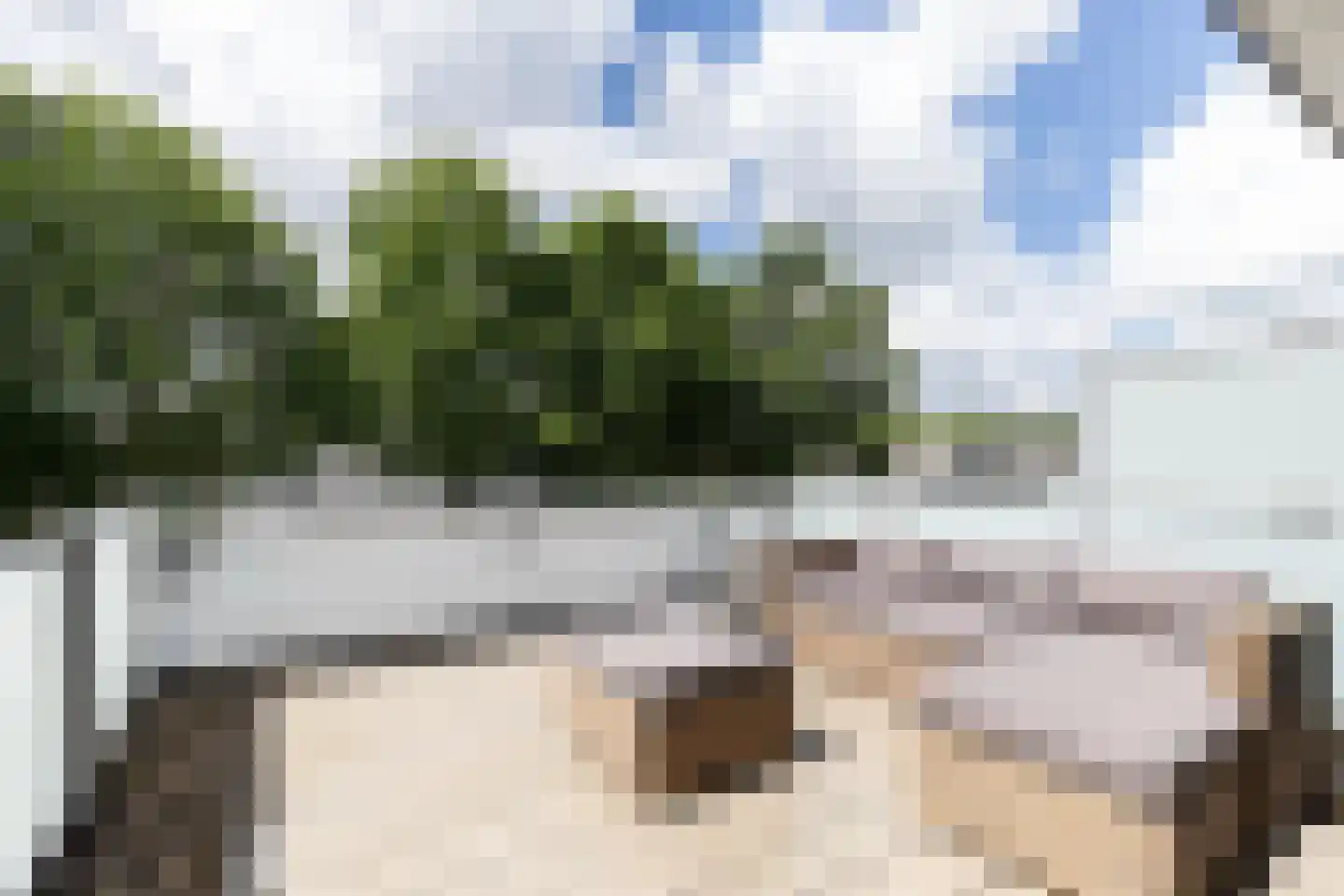 Steilsteven 64 Papendrecht thumbnail 26