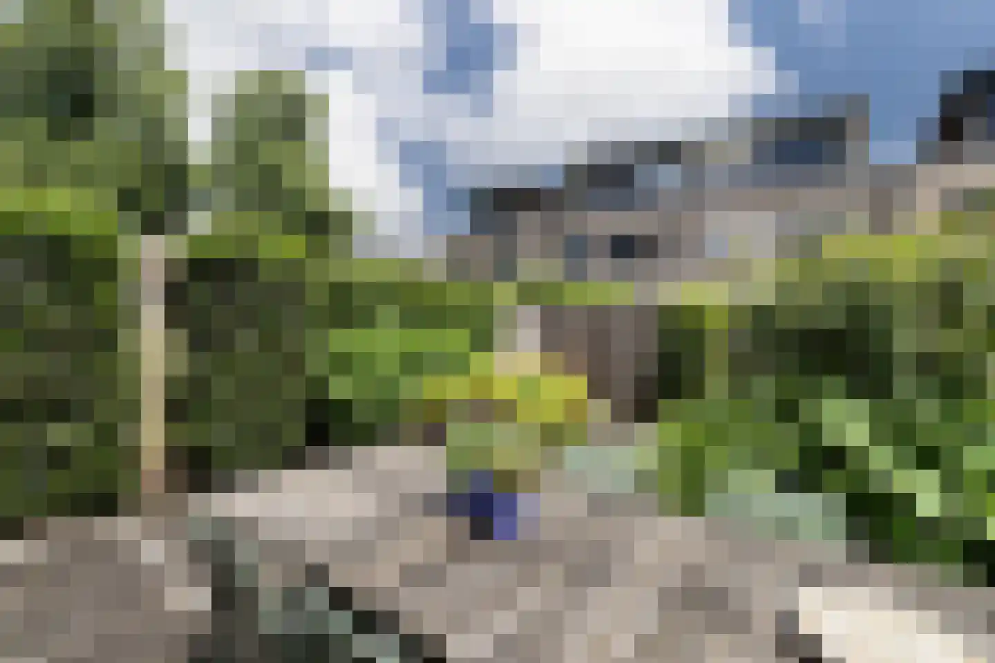 Steilsteven 64 Papendrecht thumbnail 29