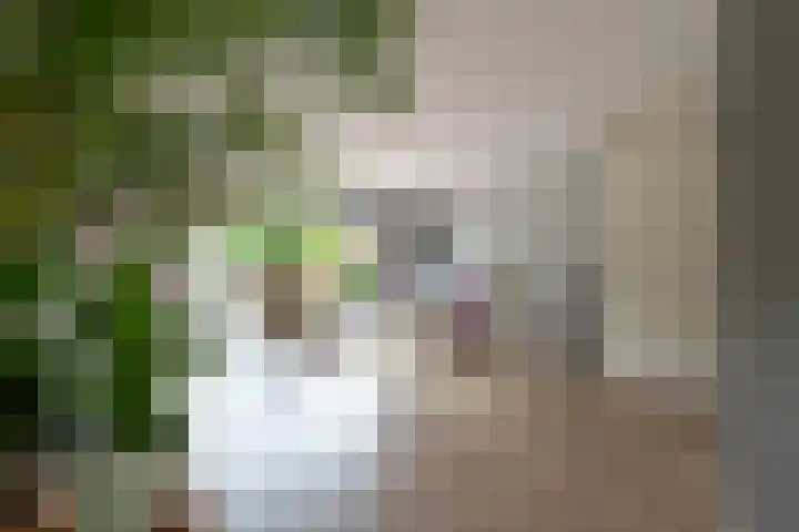 Steilsteven 7 Papendrecht thumbnail 12