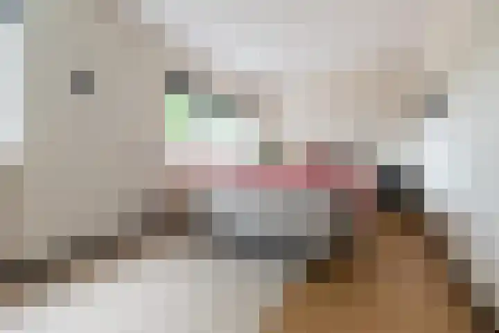 Steilsteven 7 Papendrecht thumbnail 13