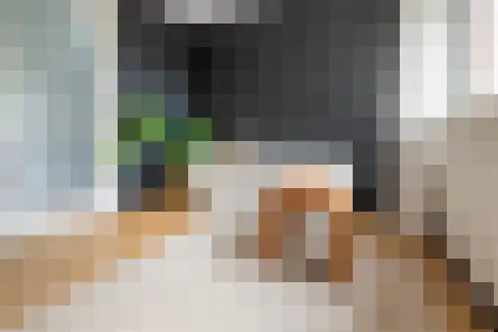 Steilsteven 7 Papendrecht thumbnail 14