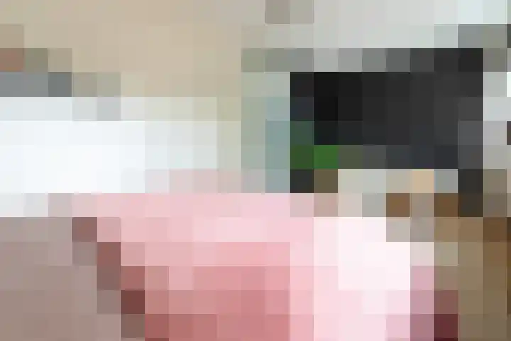 Steilsteven 7 Papendrecht thumbnail 15