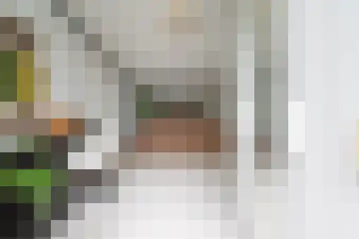 Steilsteven 7 Papendrecht thumbnail 20