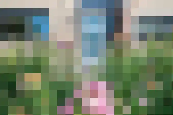 Steilsteven 7 Papendrecht thumbnail 24