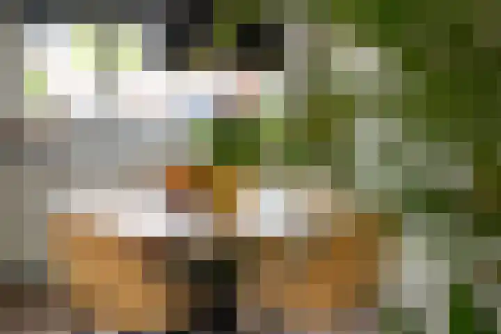 Steilsteven 7 Papendrecht thumbnail 5
