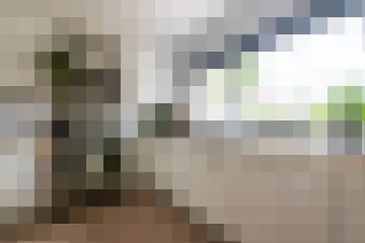 Steilsteven 7 Papendrecht thumbnail 6