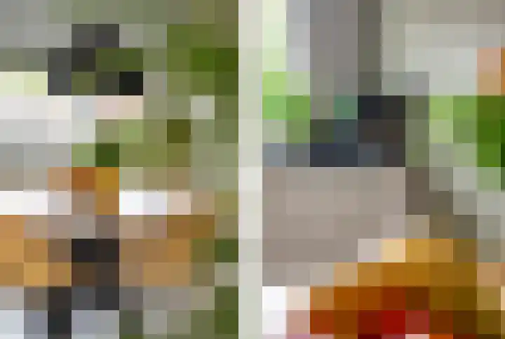 Steilsteven 7 Papendrecht thumbnail 7