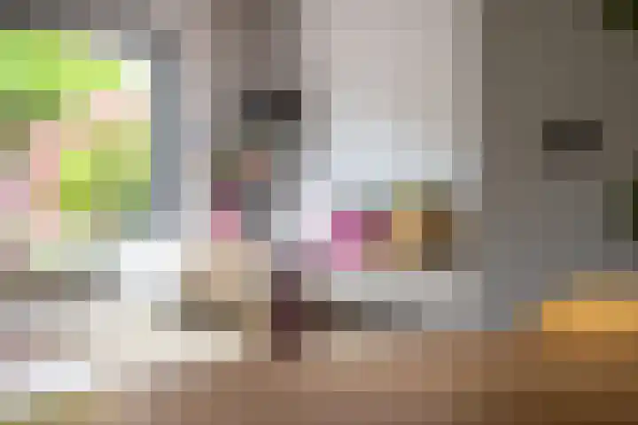 Steilsteven 7 Papendrecht thumbnail 8