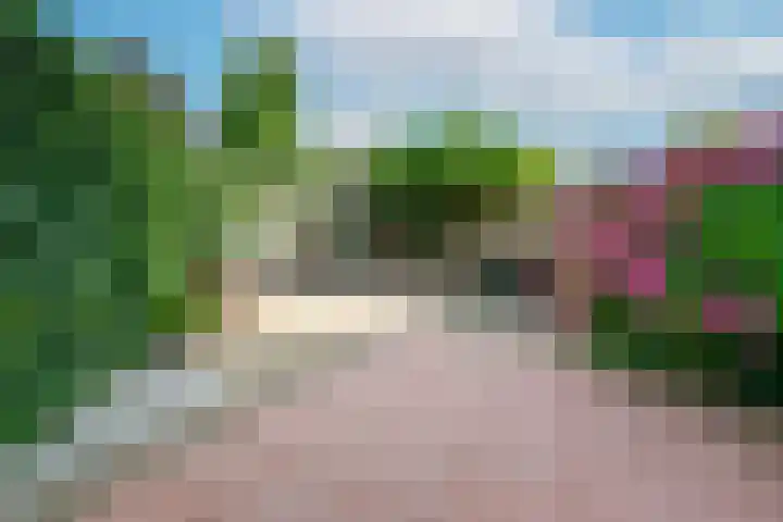 Steilsteven 7 Papendrecht thumbnail 9