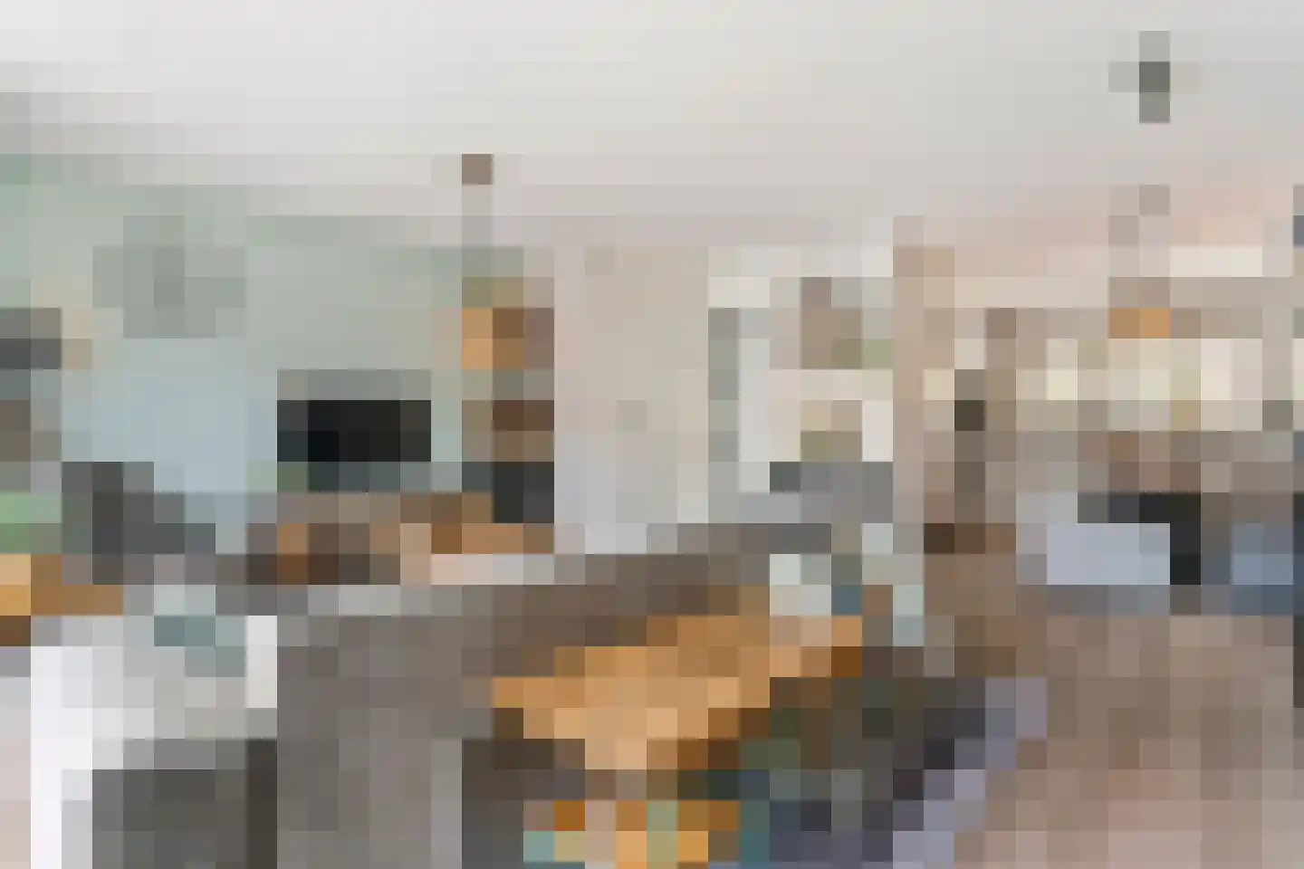 Steilsteven 75 Papendrecht thumbnail 11
