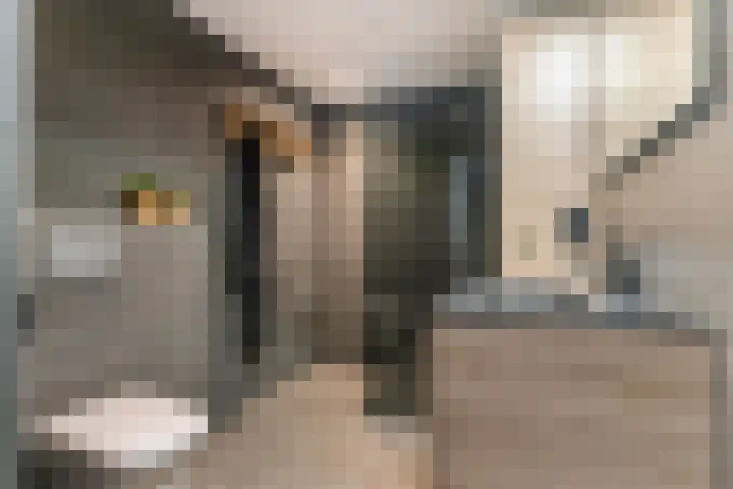 Steilsteven 75 Papendrecht thumbnail 32