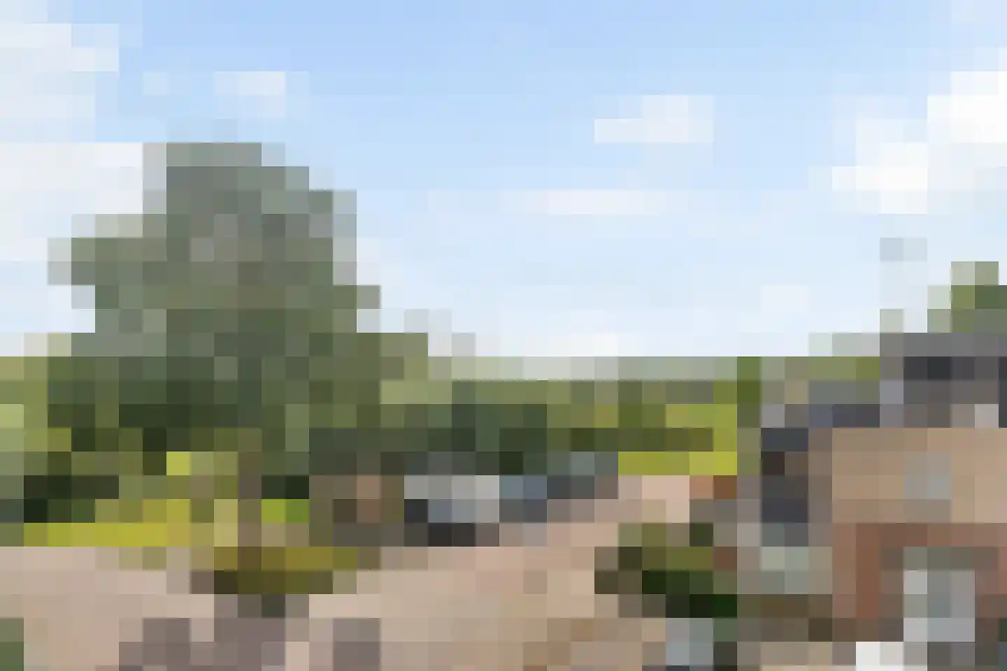 Steilsteven 75 Papendrecht thumbnail 44
