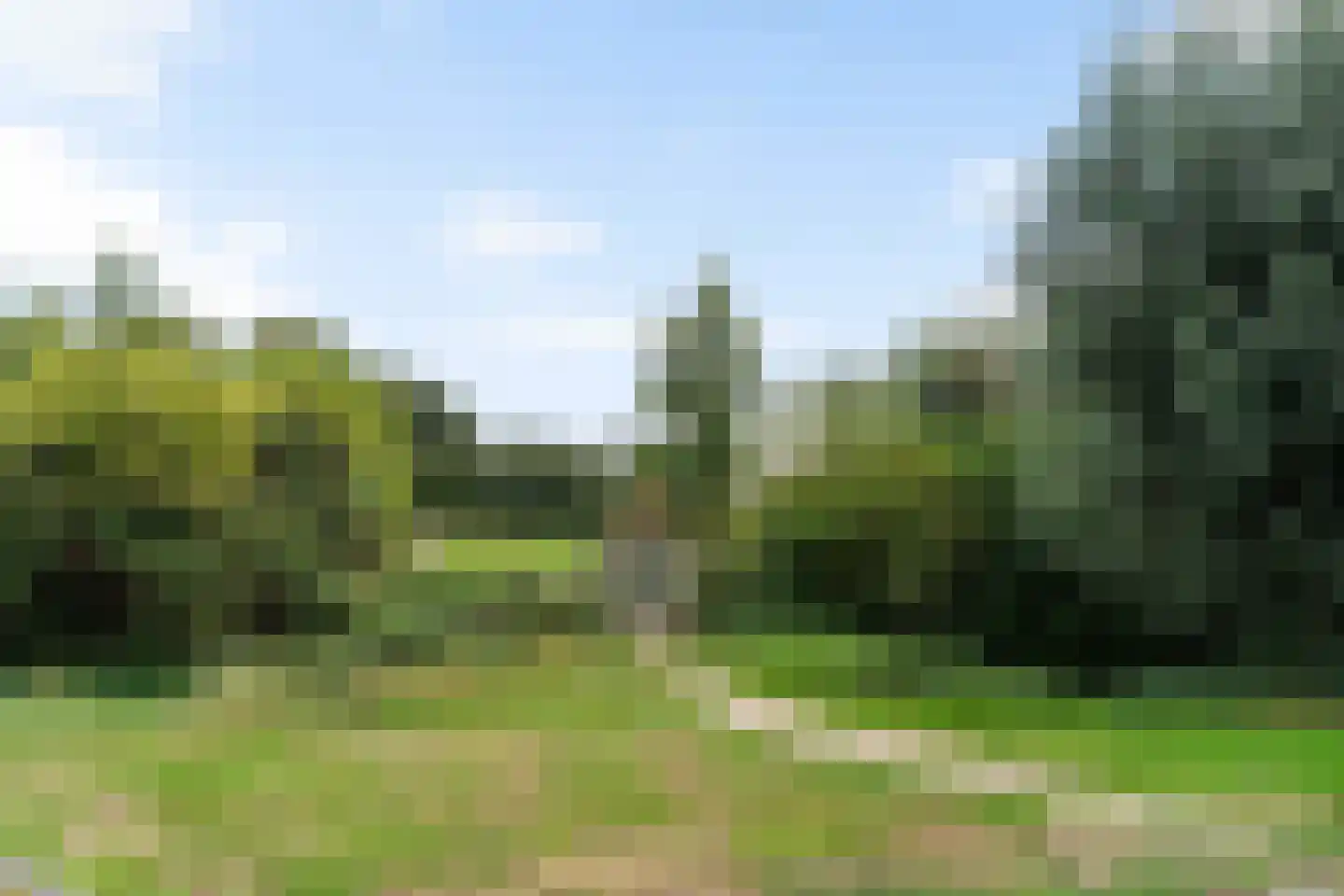 Steilsteven 75 Papendrecht thumbnail 46