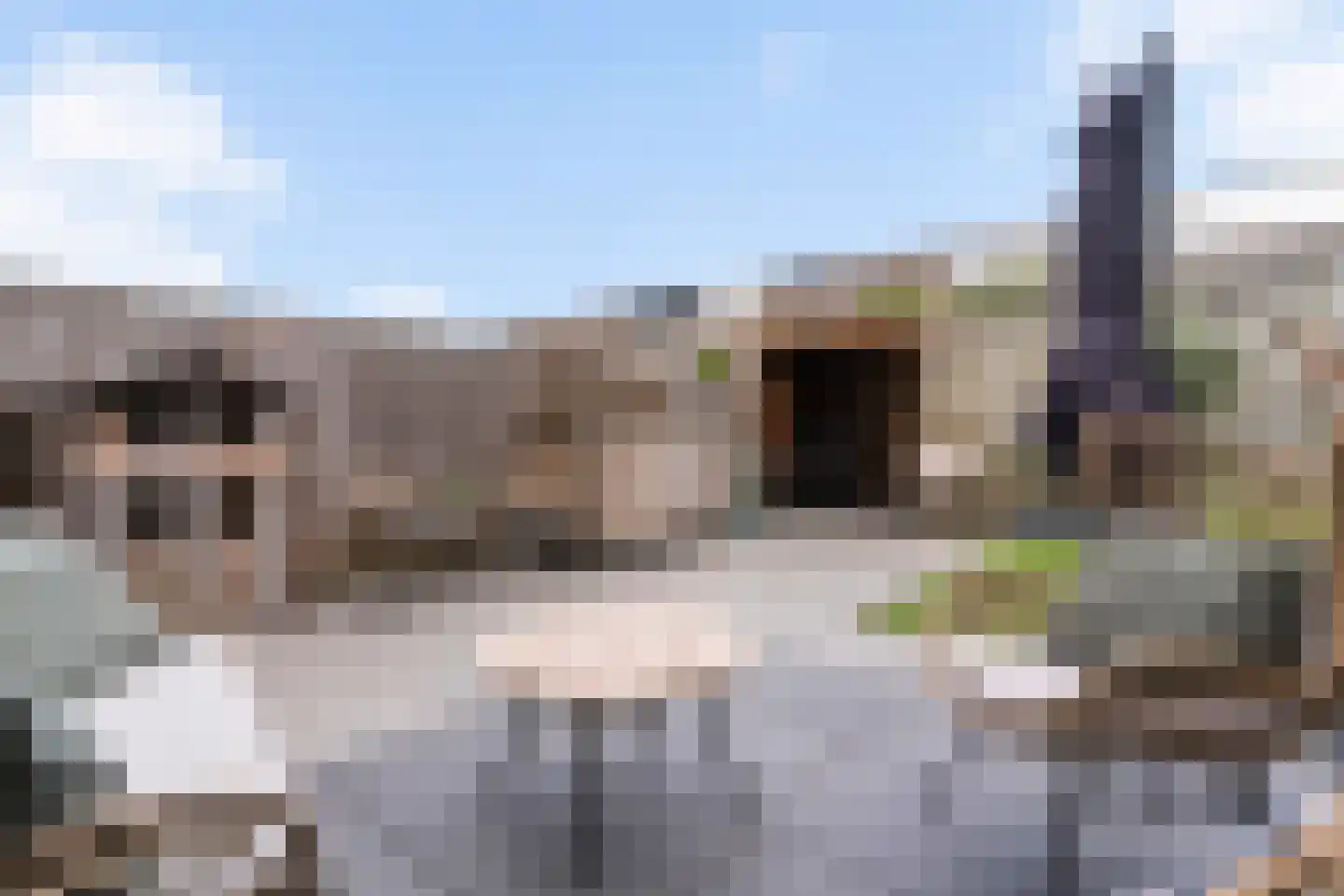 Steilsteven 75 Papendrecht thumbnail 6