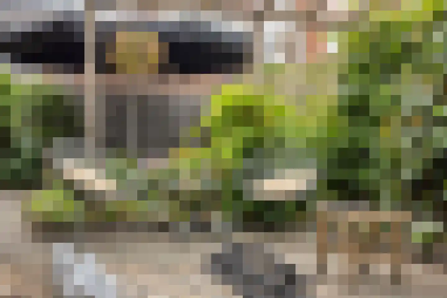 Steiltjesstraat 12 Zierikzee thumbnail 36