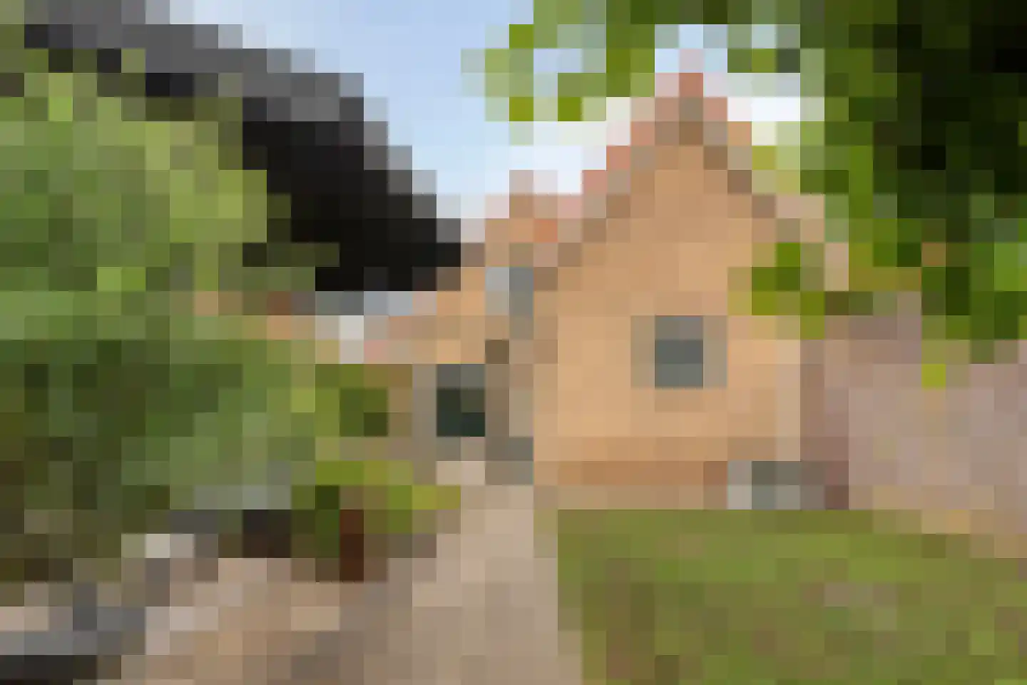 Steiltjesstraat 12 Zierikzee thumbnail 40