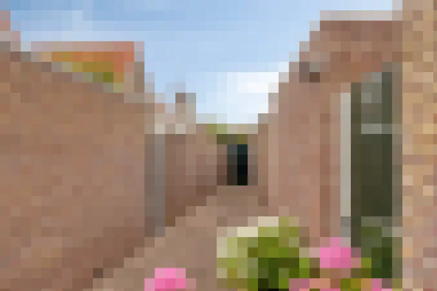 Steiltjesstraat 12 Zierikzee thumbnail 44