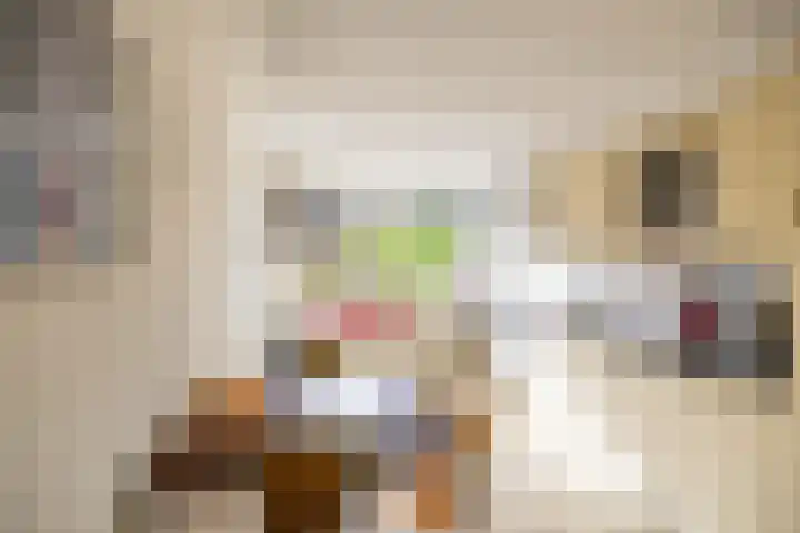 Stein van Malsenstraat 15 Niezijl thumbnail 10