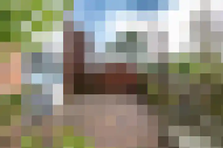 Stein van Malsenstraat 15 Niezijl thumbnail 20