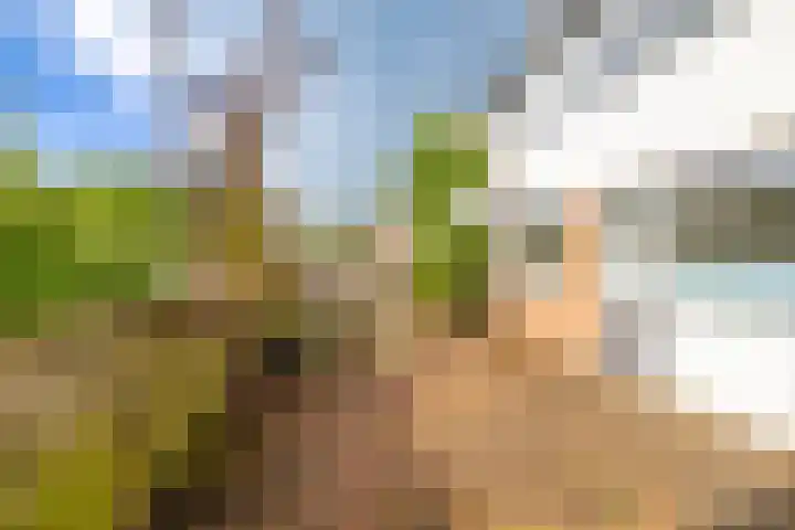 Stein van Malsenstraat 15 Niezijl thumbnail 21