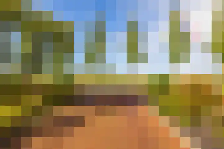 Stein van Malsenstraat 15 Niezijl thumbnail 4