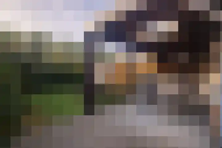 Steinderweg 5 Stein thumbnail 20