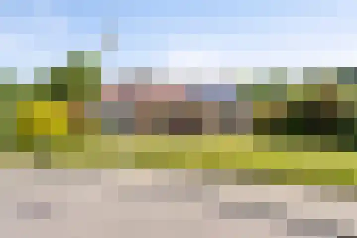 Steinhartstraat 9 in Sweikhuizen