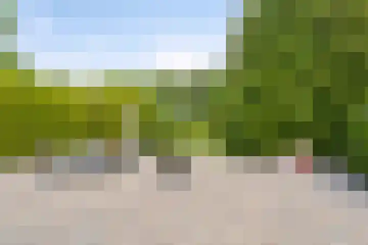 Steinhartstraat 9 Sweikhuizen thumbnail 33