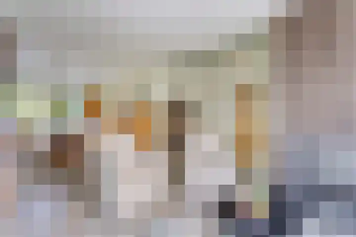 Steinhartstraat 9 Sweikhuizen thumbnail 6