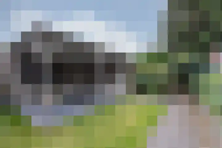 Steinlaan 35 Doetinchem thumbnail 30