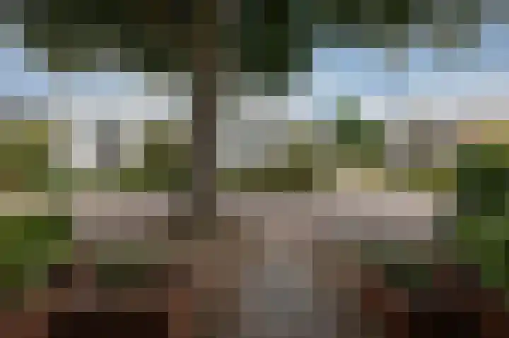 Steinlaan 35 Doetinchem thumbnail 53