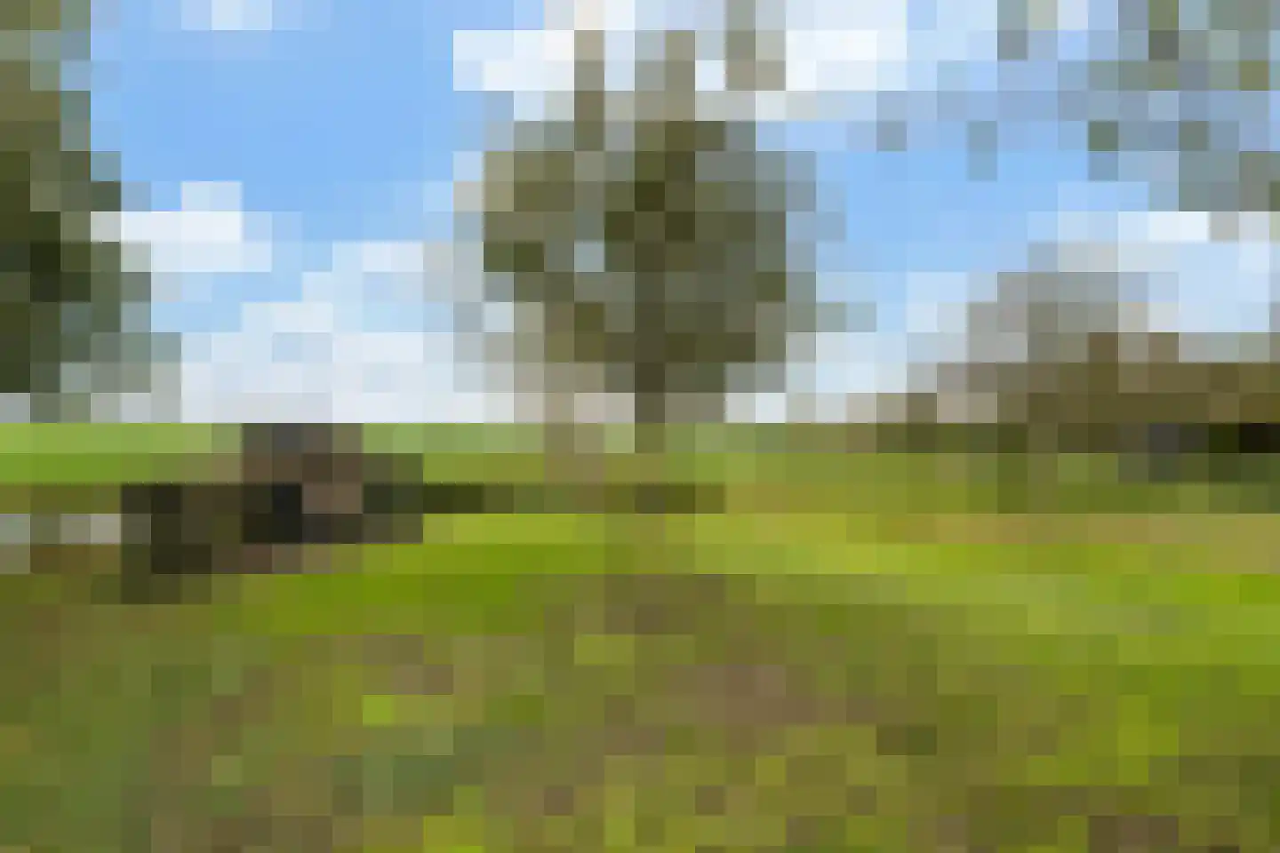 Steinsedijk 43 a Haastrecht thumbnail 16