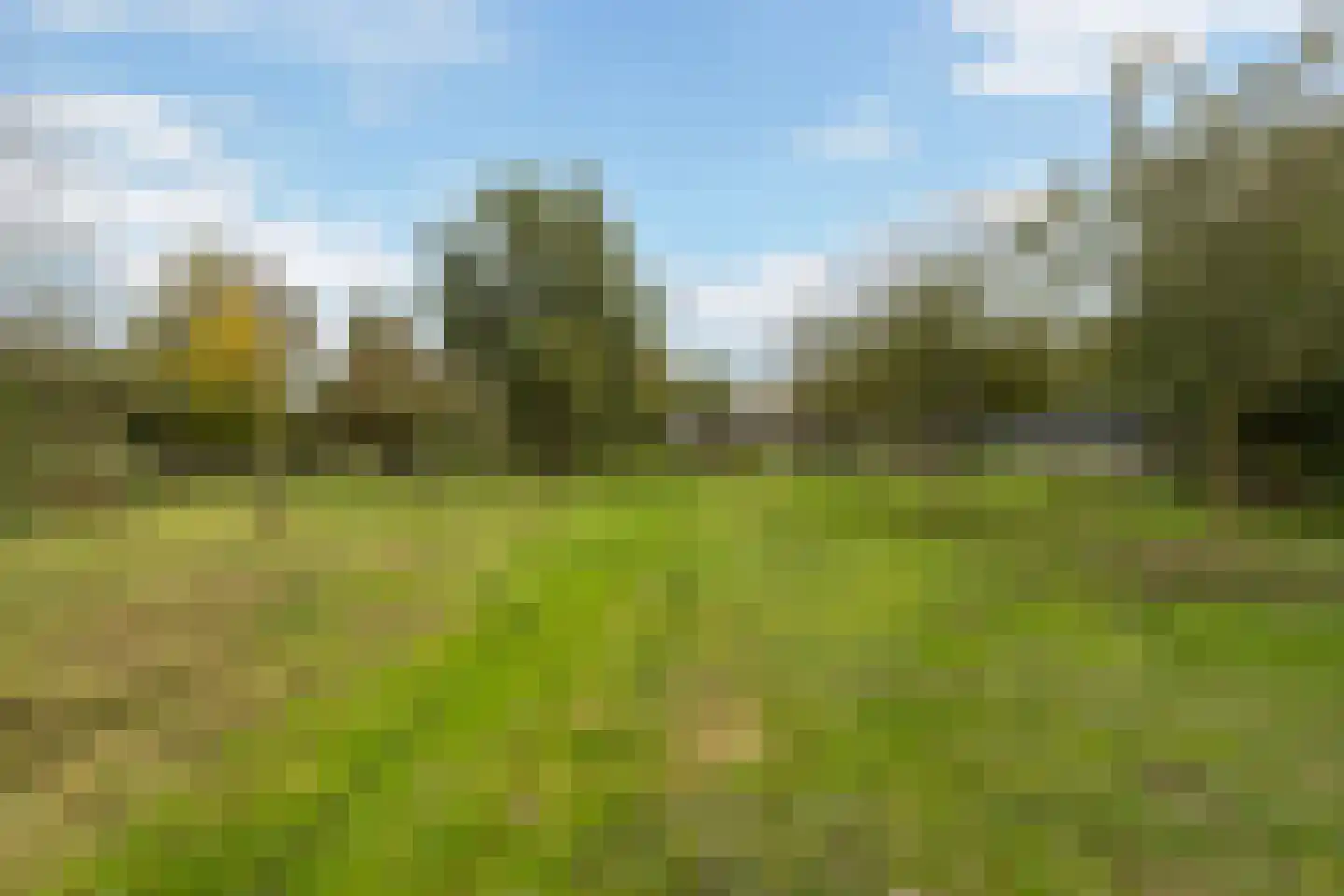 Steinsedijk 43 a Haastrecht thumbnail 19